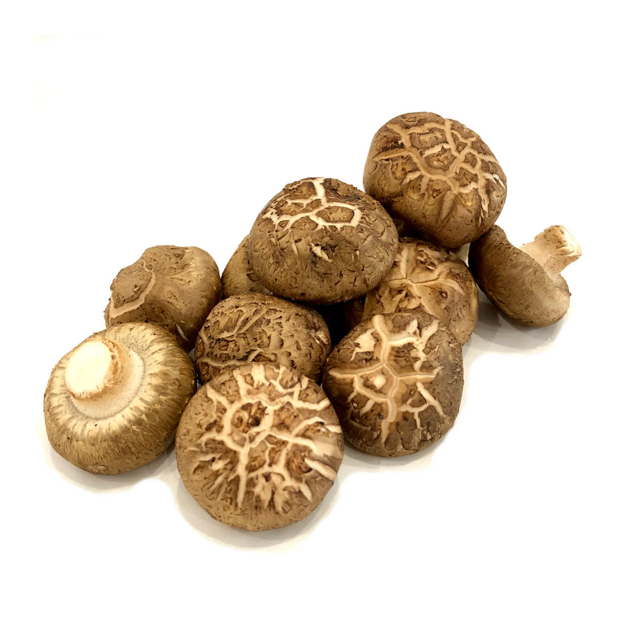 Global Fresh Mushroom Shitake Dried 200g