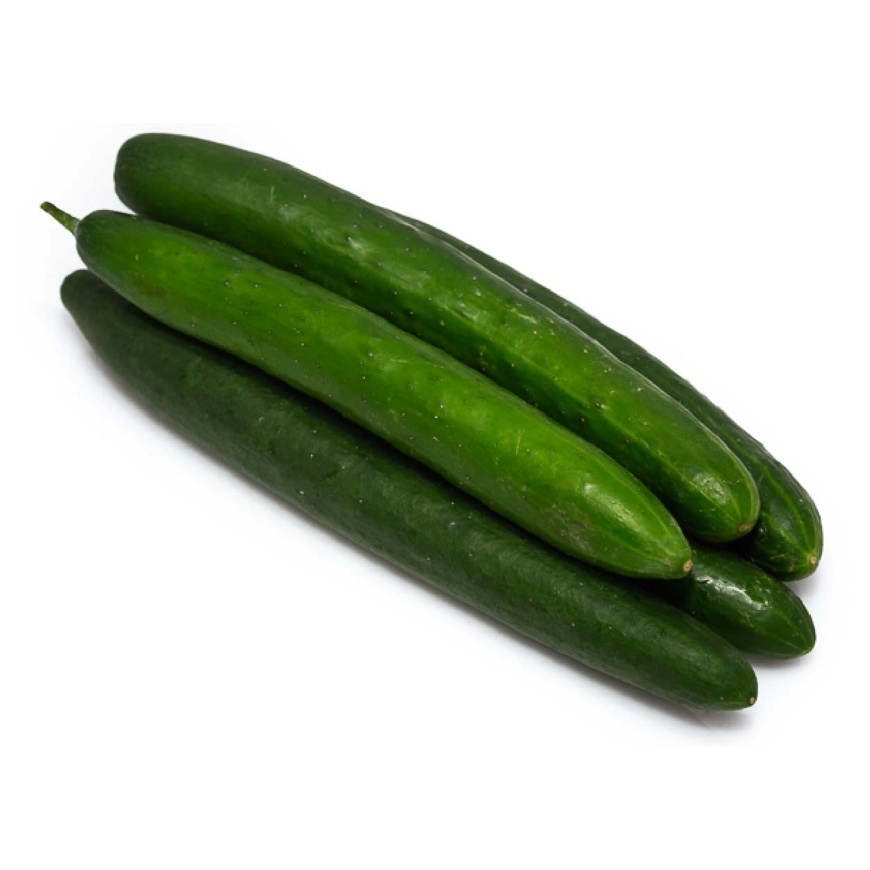 Global Fresh Japanese Cucumber 500g