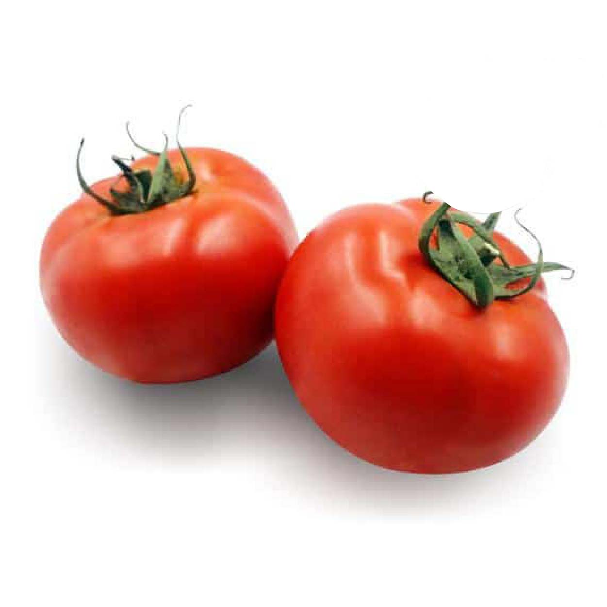 Global Fresh Tomato Whopper Big 500g