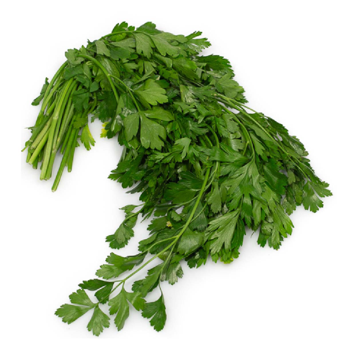 Global Fresh Wansoy 50g