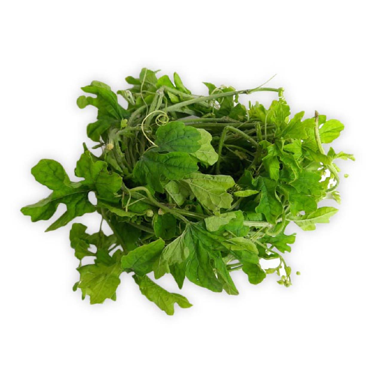 Global Fresh Ampalaya Leaves 200g