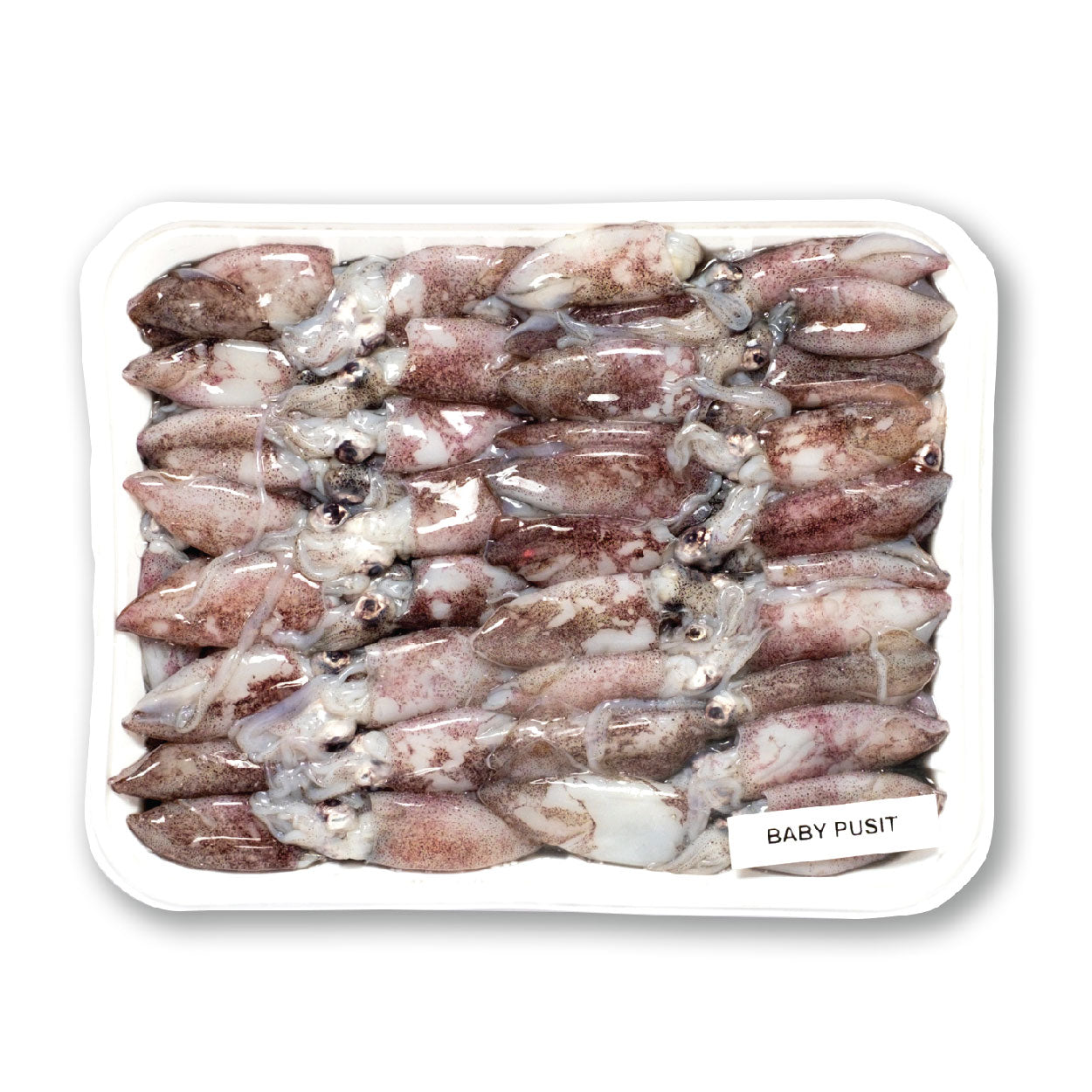 SMI Baby Pusit Approximate 1kg