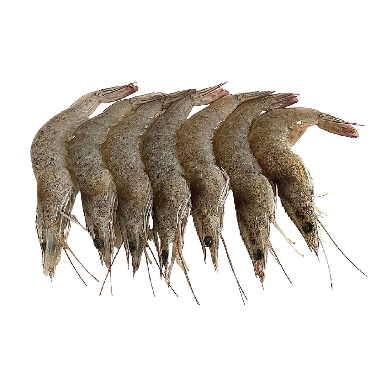 SMI Suahe Tagalog Approximate 1kg