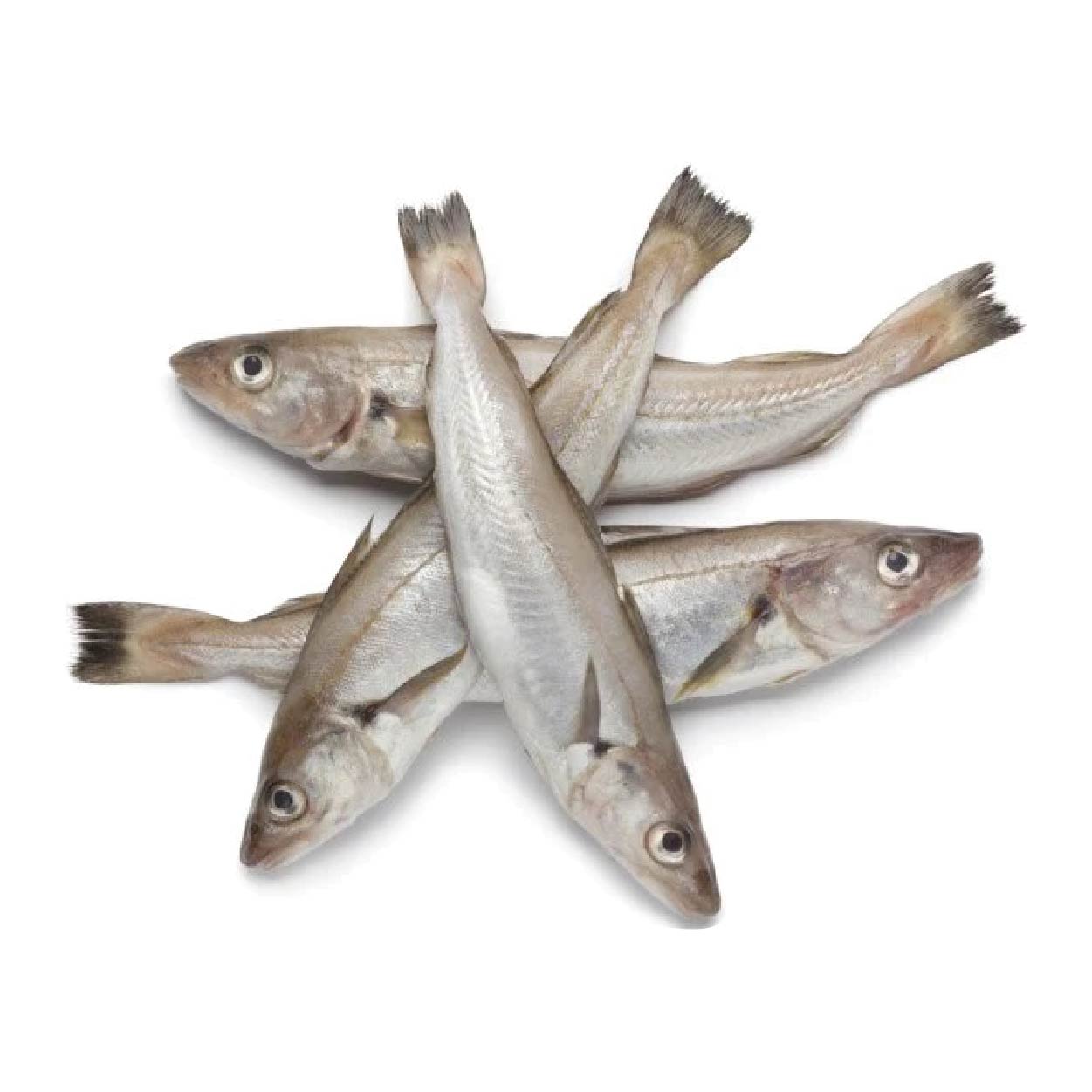 SMI Asuhos Approximate 1kg