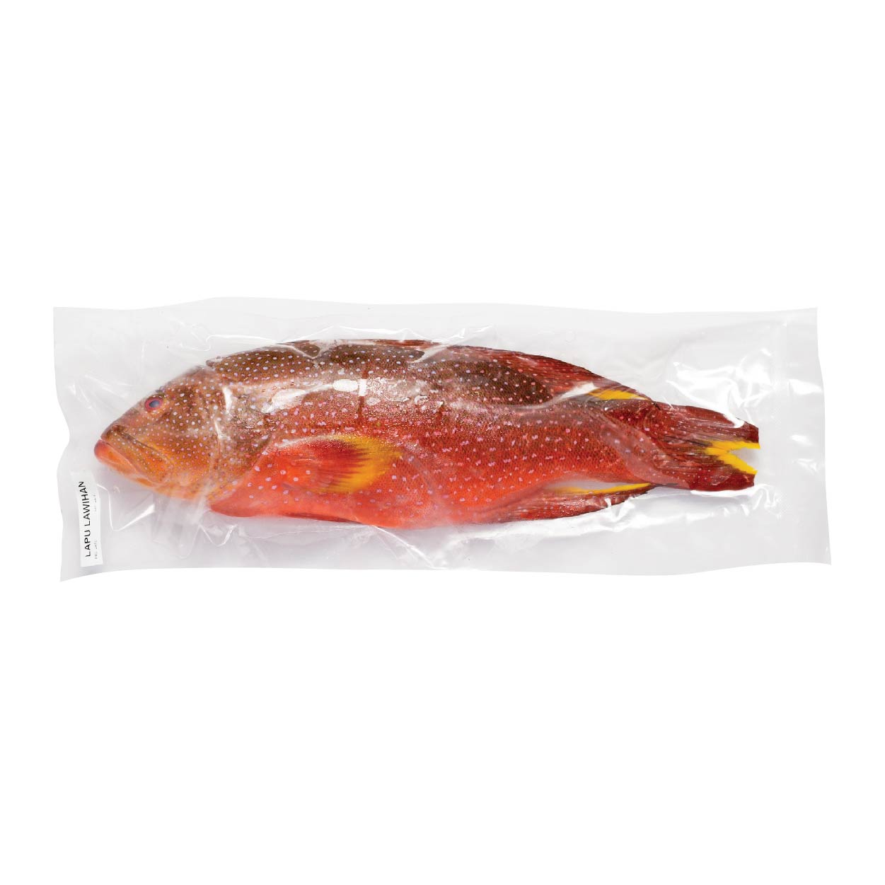 SMI Lapu Lapu Lawihan Approximate 1kg