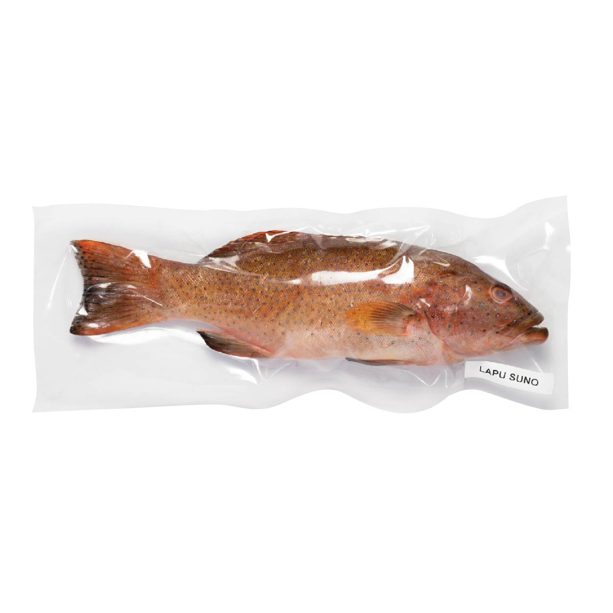 SMI Lapu Lapu Red Suno Approximate 1kg
