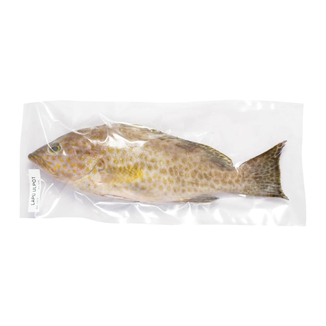 SMI Lapu Lapu Ulpot Approximate 1kg