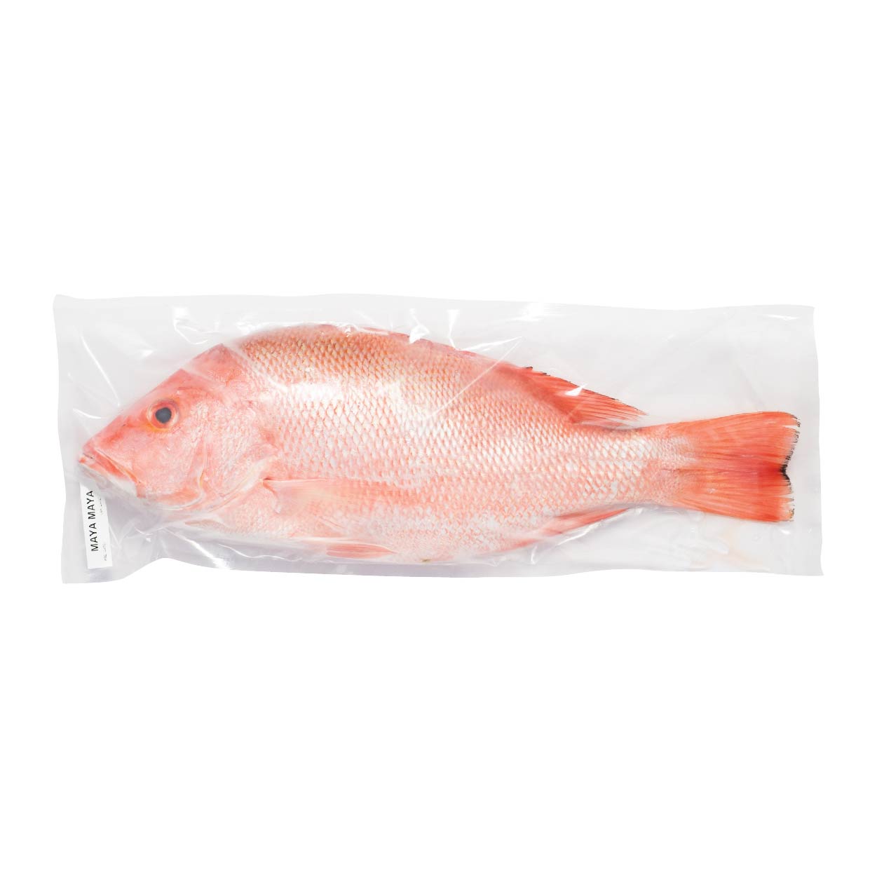 SMI Maya Maya Approximate 1kg