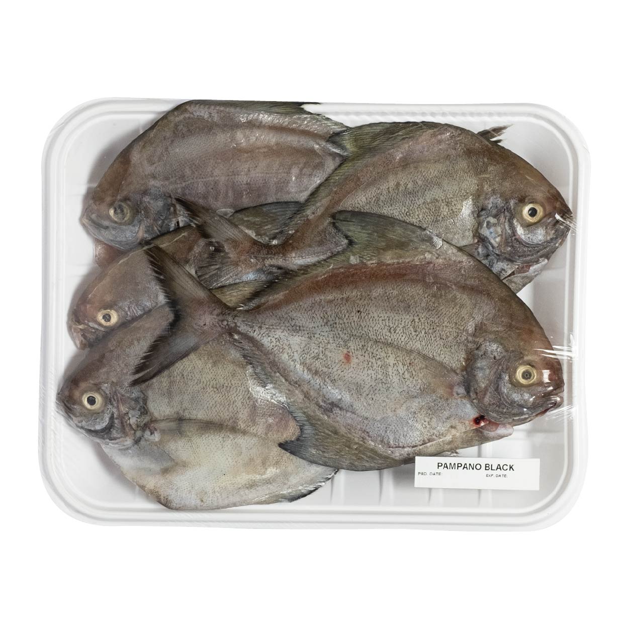 SMI Pampano Black Approximate 1kg