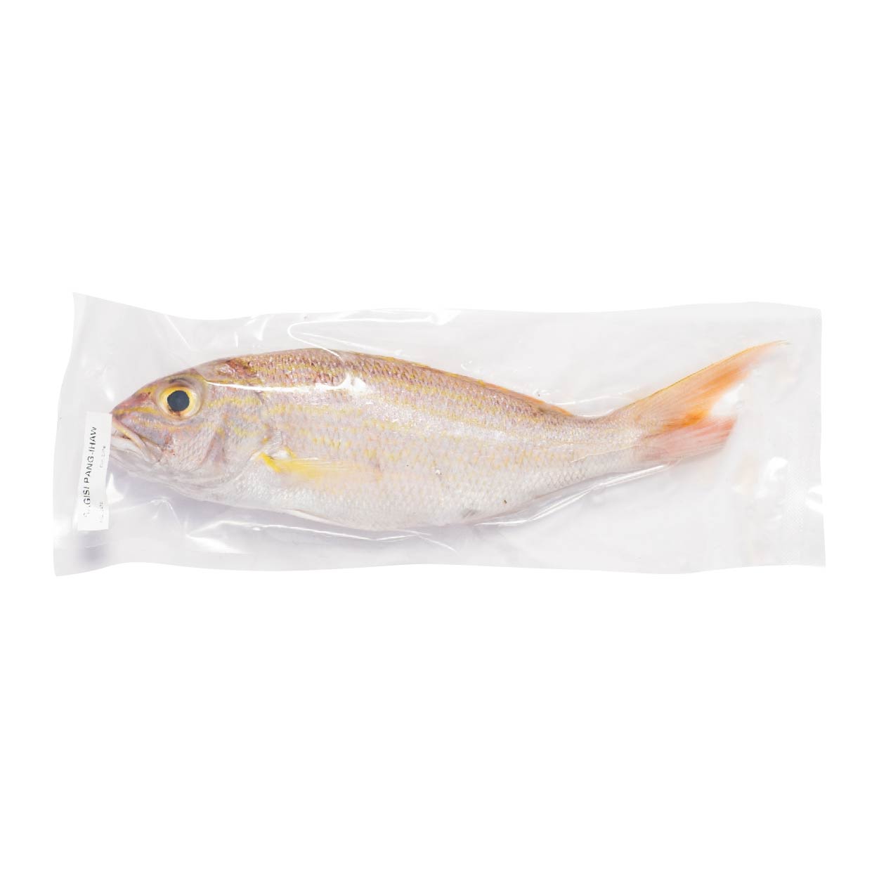 SMI Sagisi Approximate 1kg