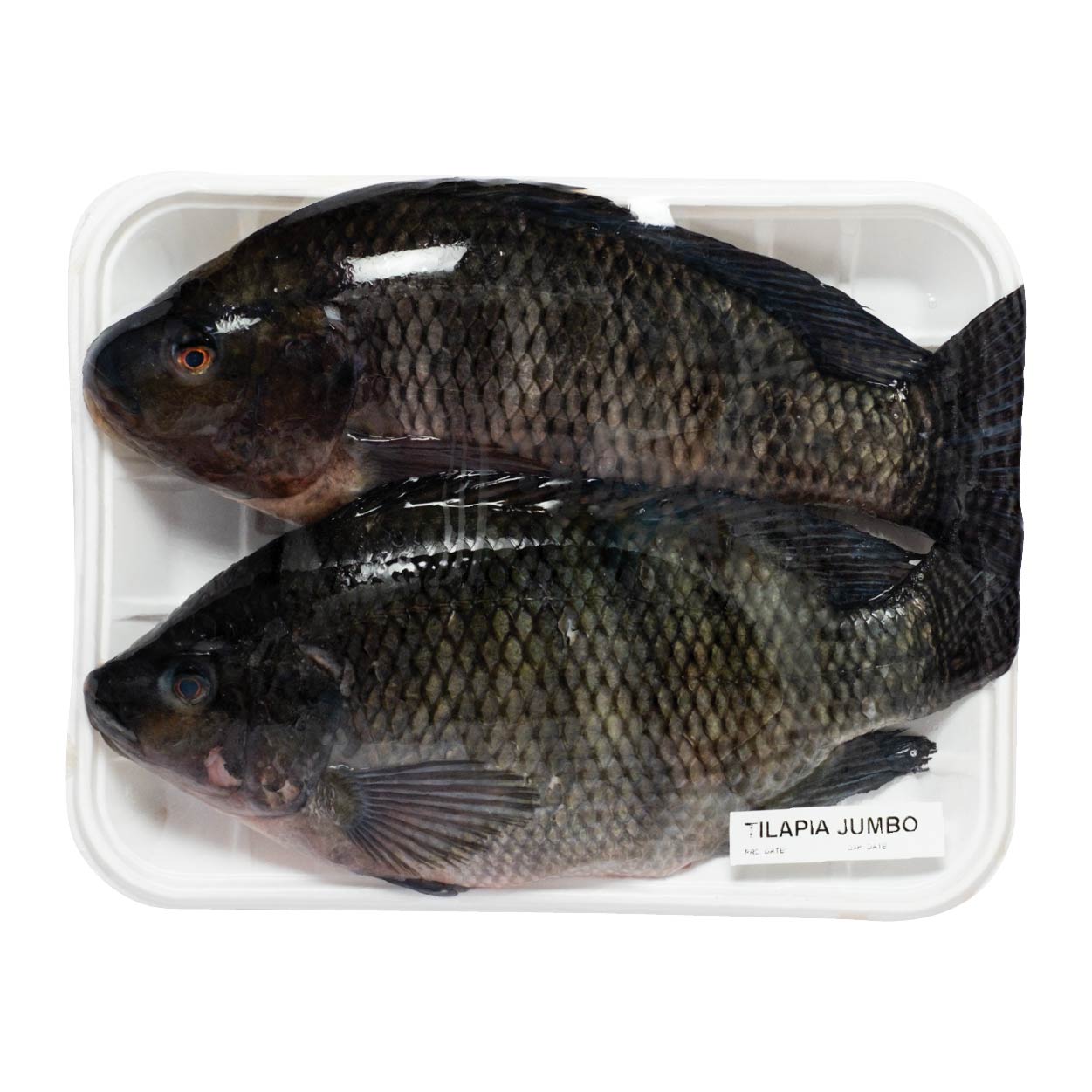 SMI Tilapia Jumbo Approximate 1kg