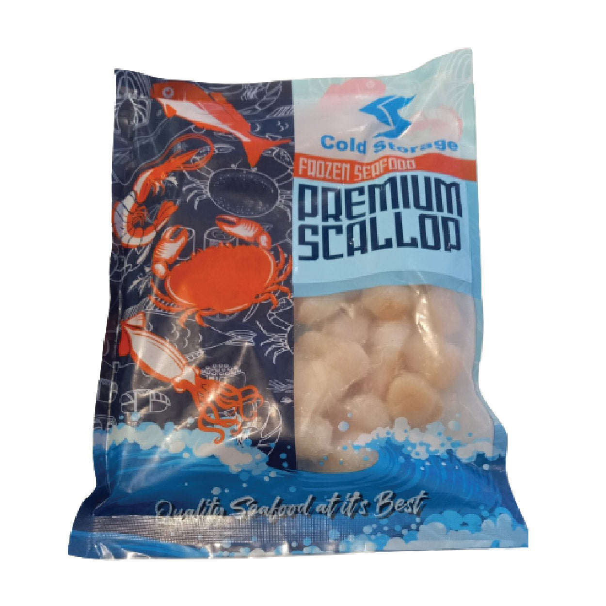 Cold Storage Frozen Seafood Premium Chinese Scallop 500g