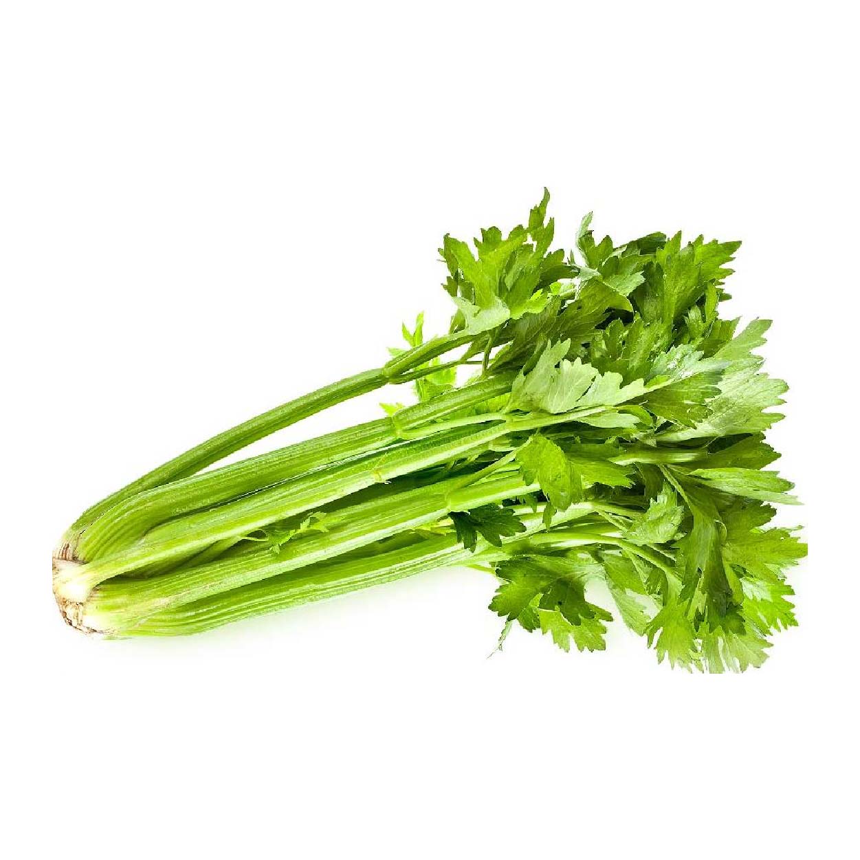 Sydarb Celery 140g-150g