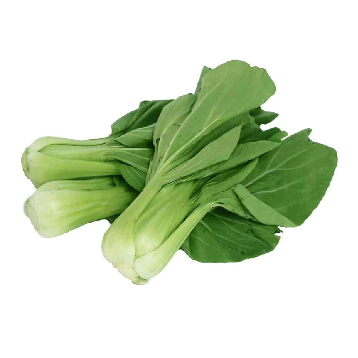 Sydarb Pechay Taiwan 250g