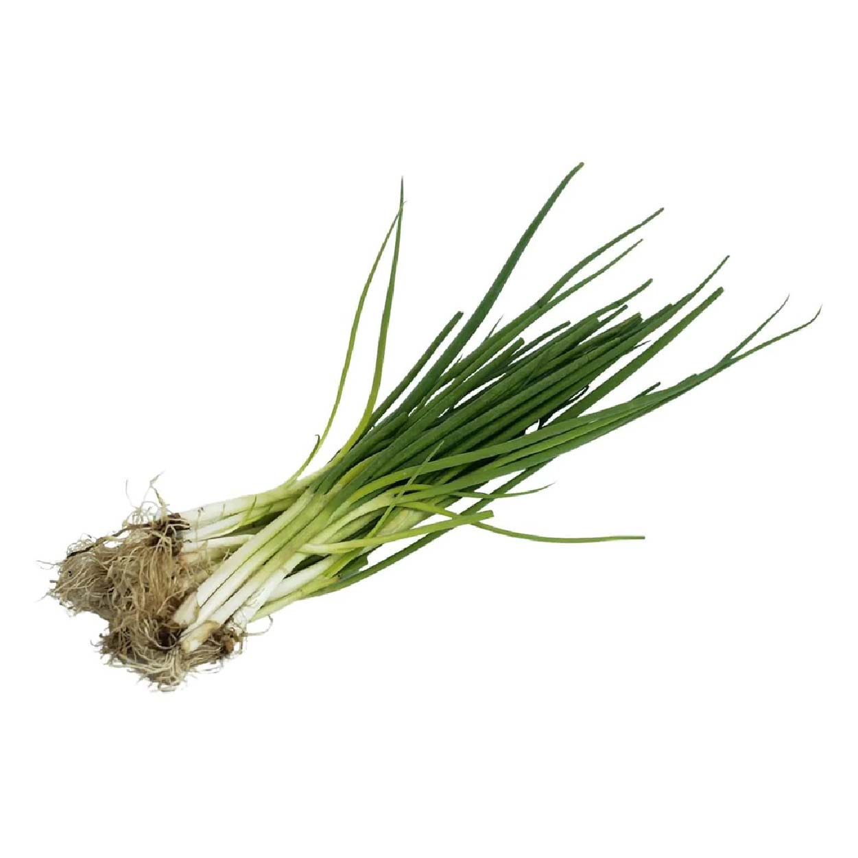 Sydarb Onion Spring 100g