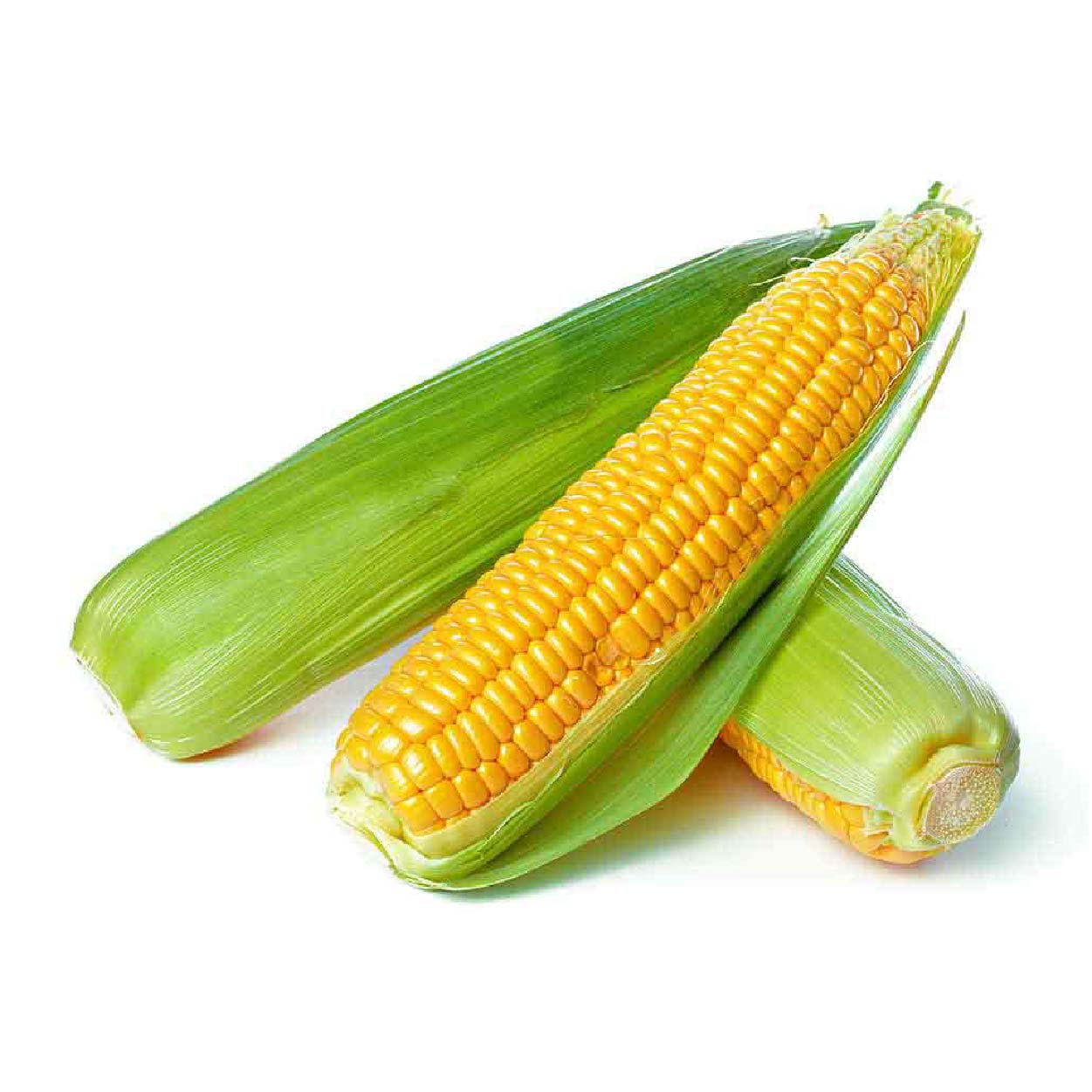 Sydarb Sweet Corn 500g