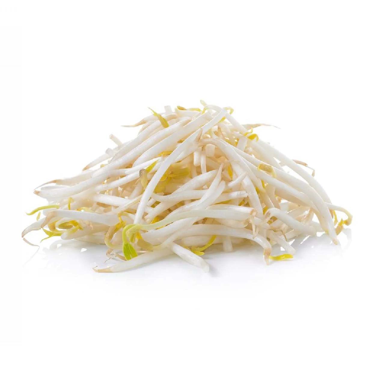 Sydarb Togue Long 480g-500g