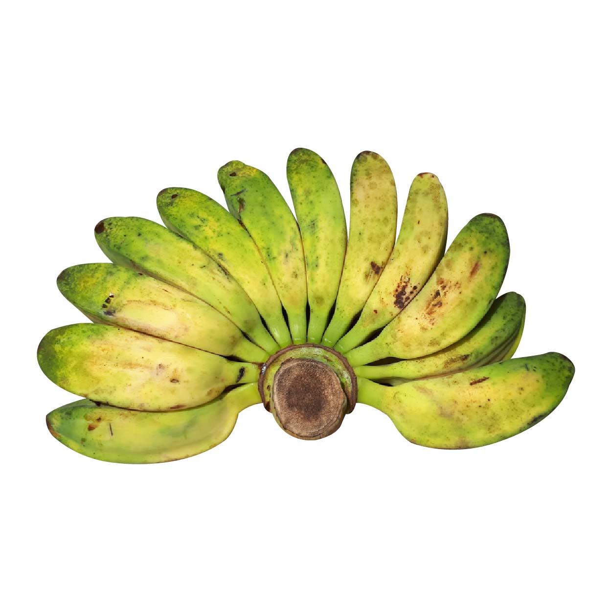 Sydarb Banana Saba 740g-750g