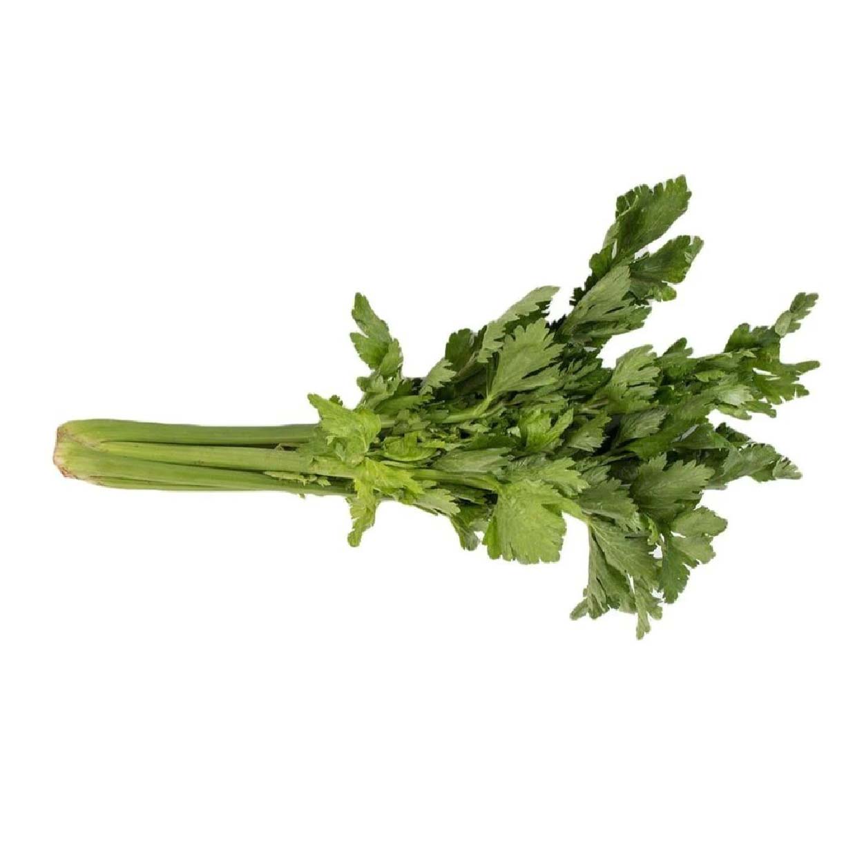 Yesha Organic Celery 250g