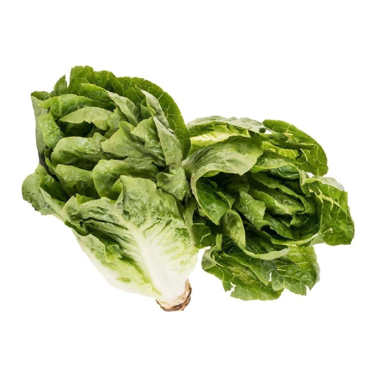 Yesha Organic Lettuce Romaine 250g