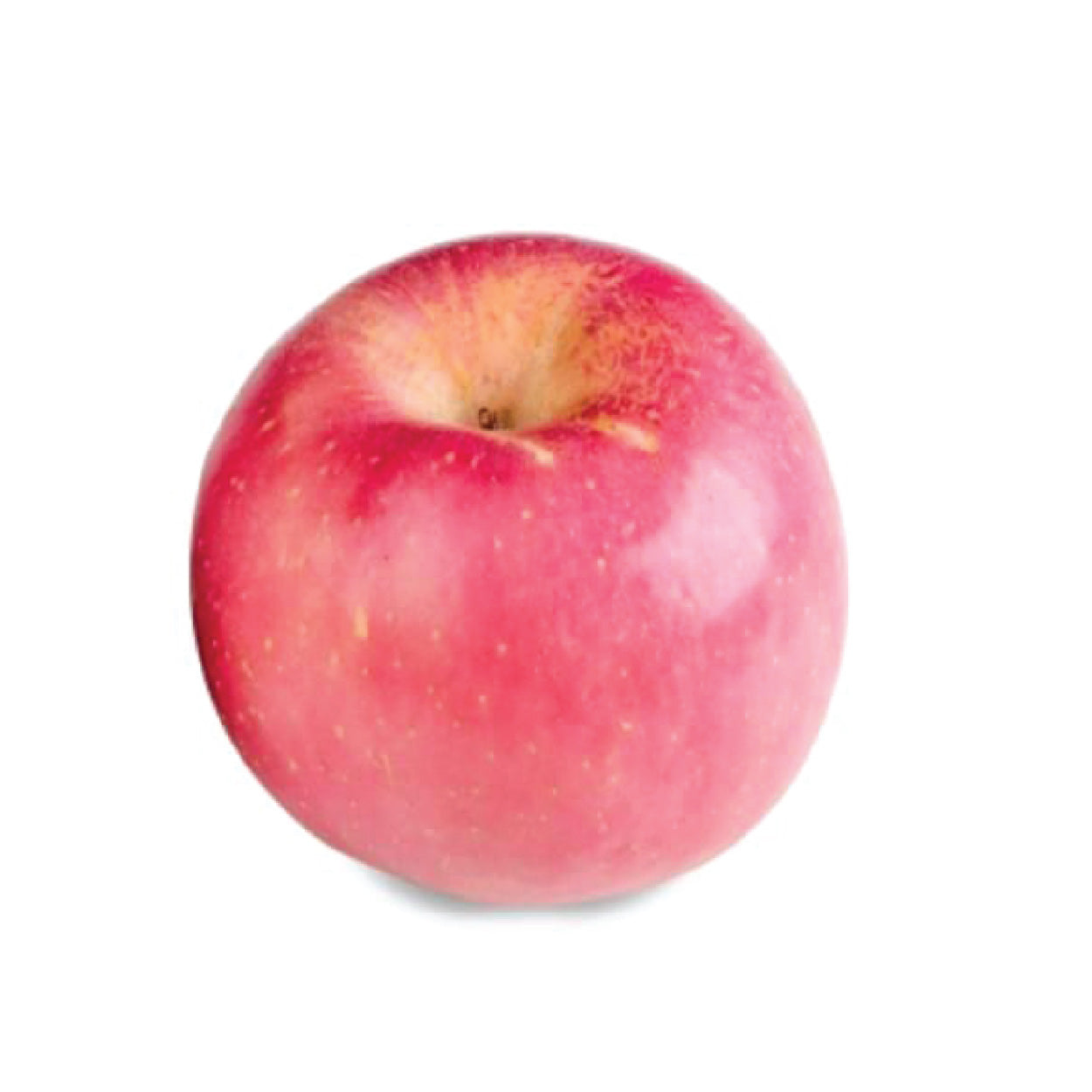 Sydarb Fuji Apple #32 Per Piece