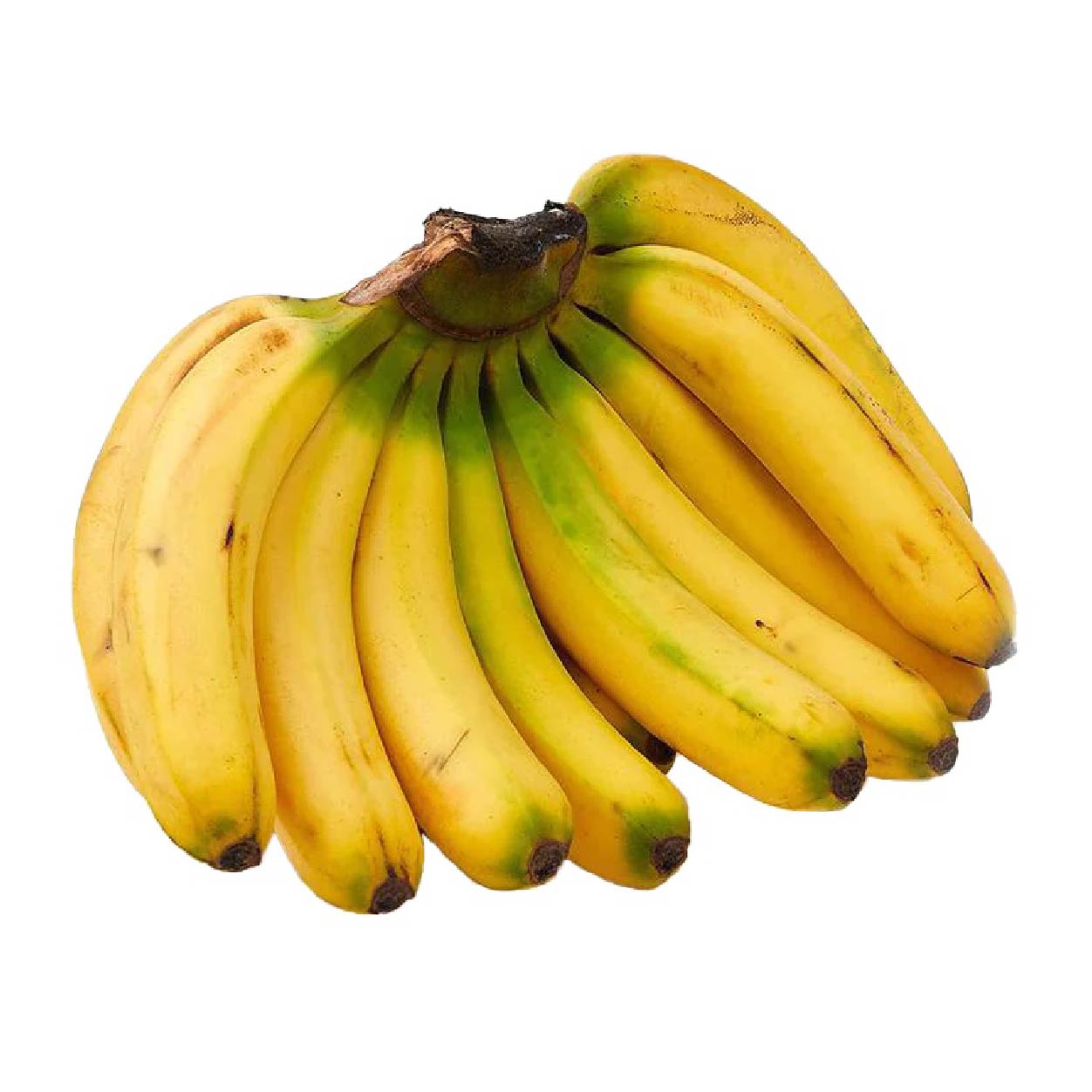Yesha Banana Lakatan 500g