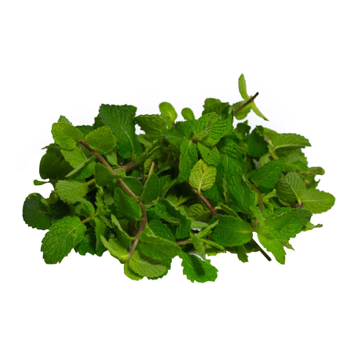 Yesha Mint Leaves 50g