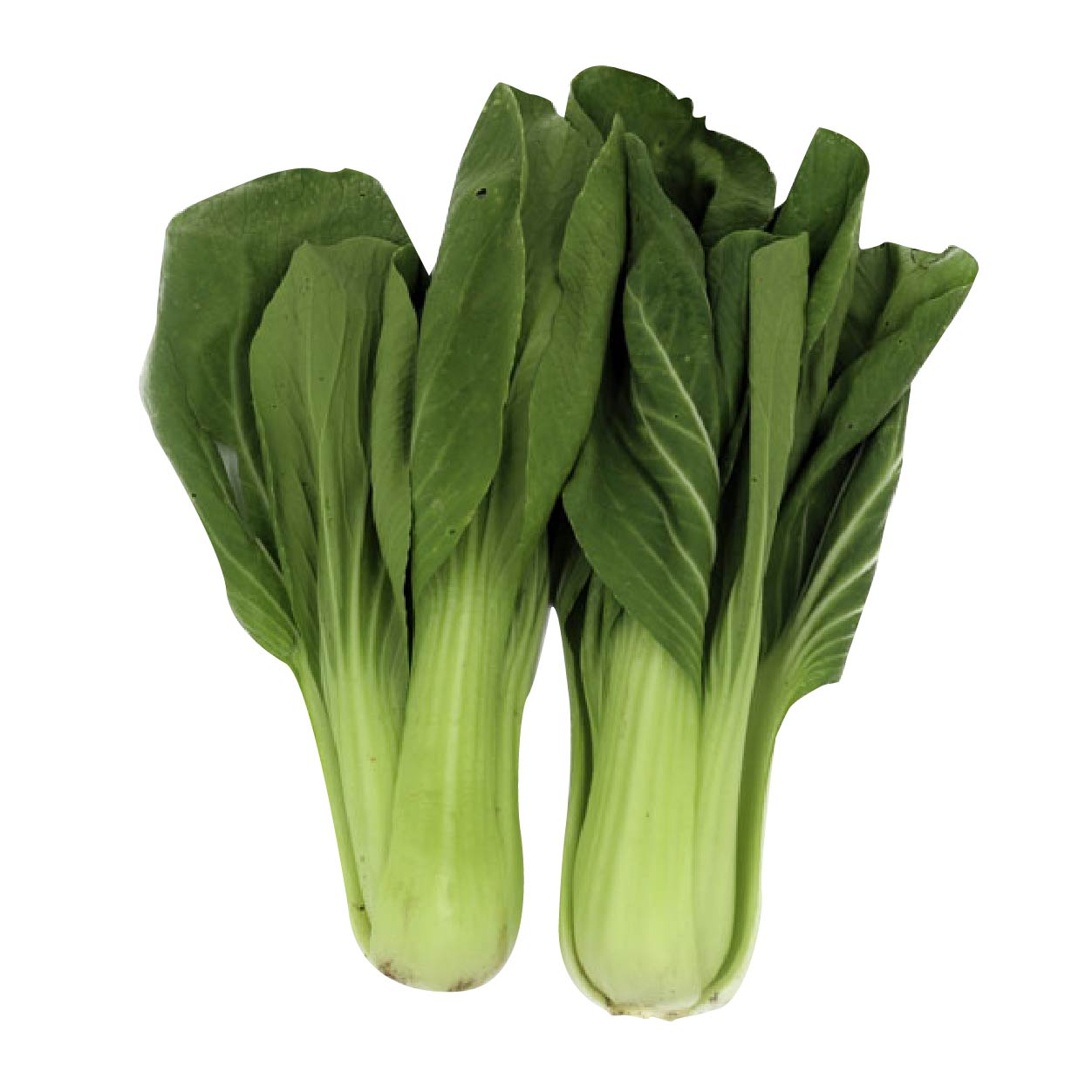 Yesha Organic Pechay Taiwan 250g