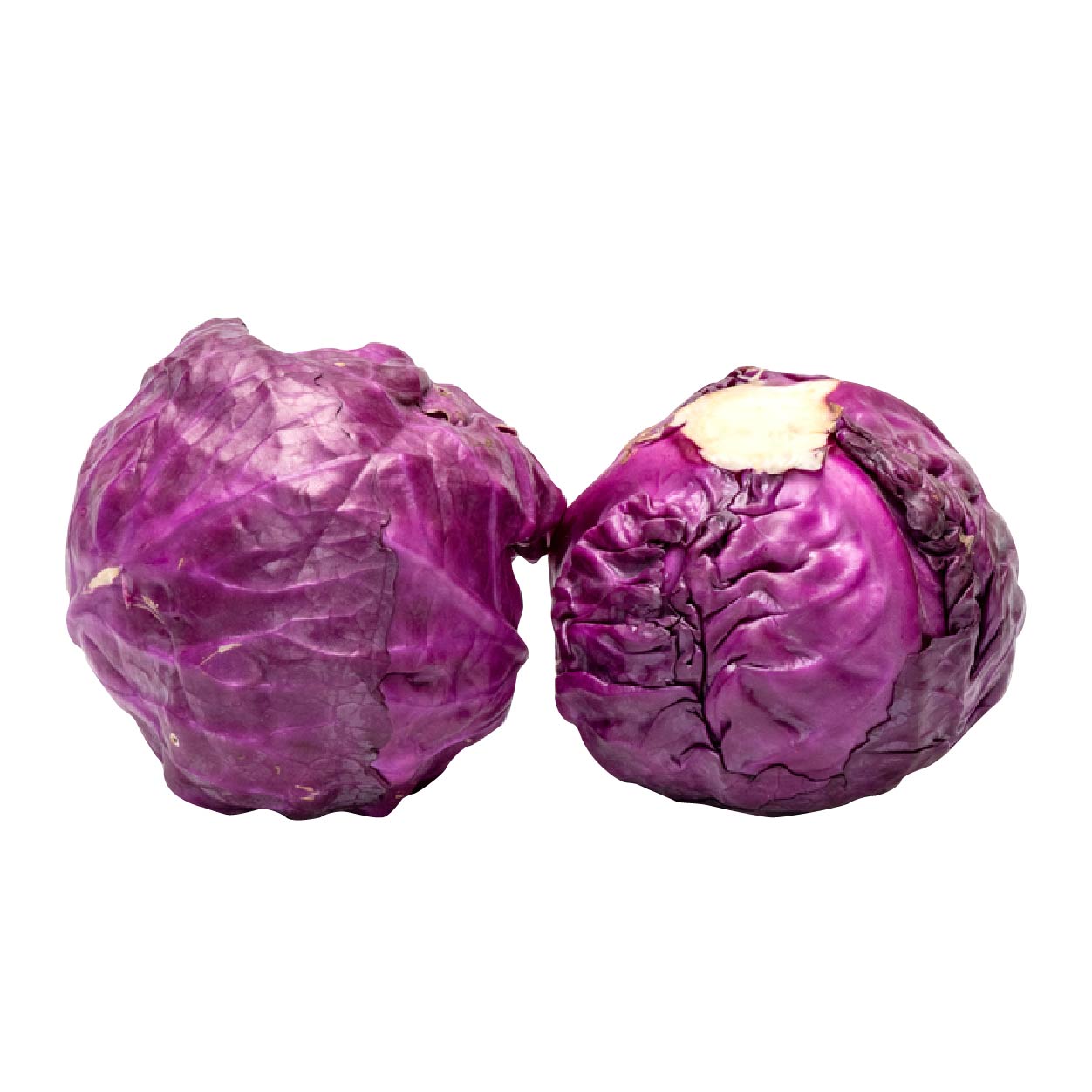 Yesha Cabbage Red 500g