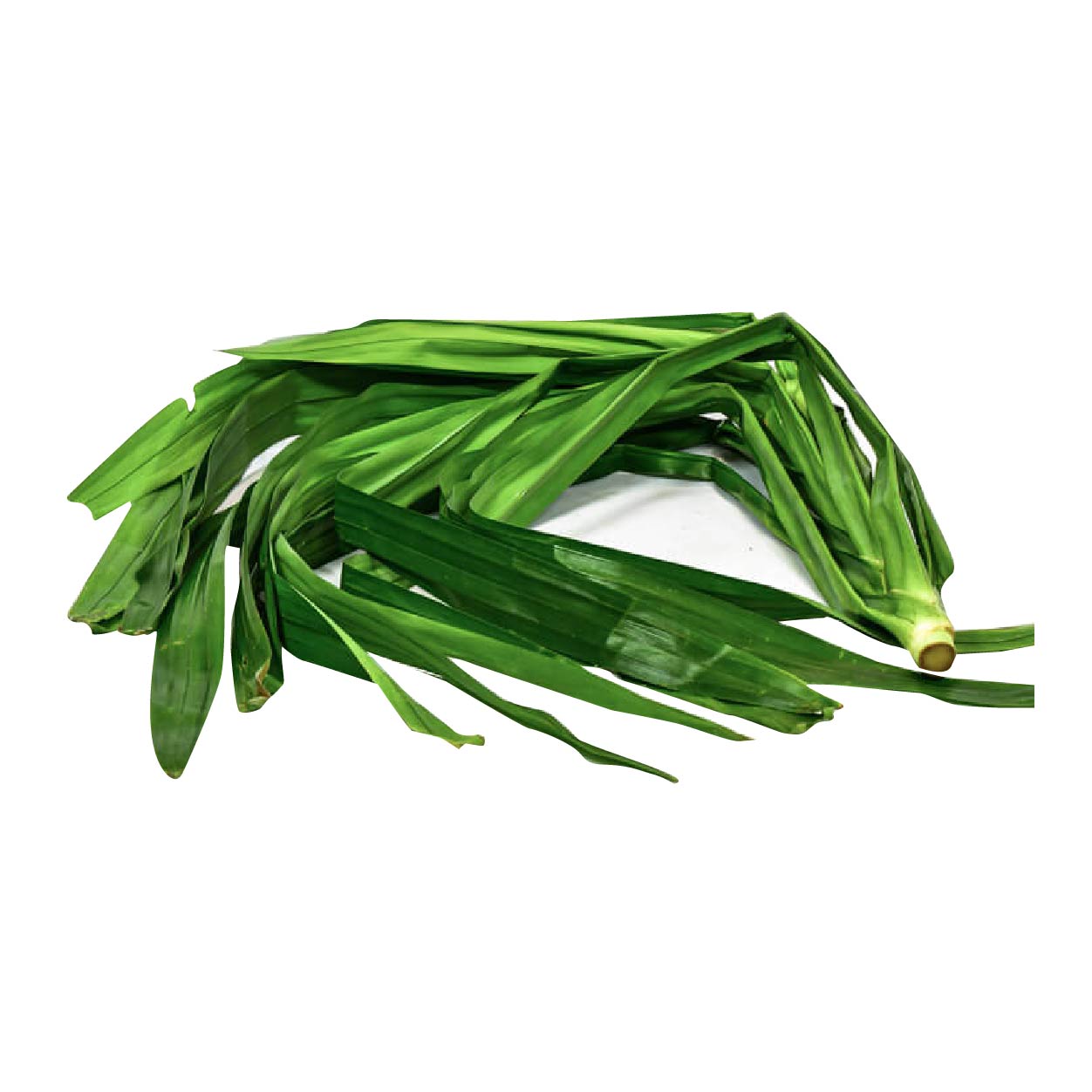 Yesha Pandan 100g