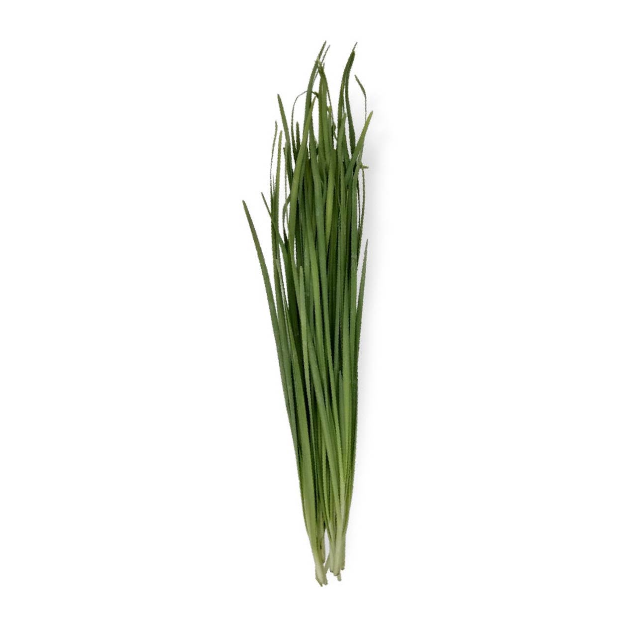 Yesha Chives 200g