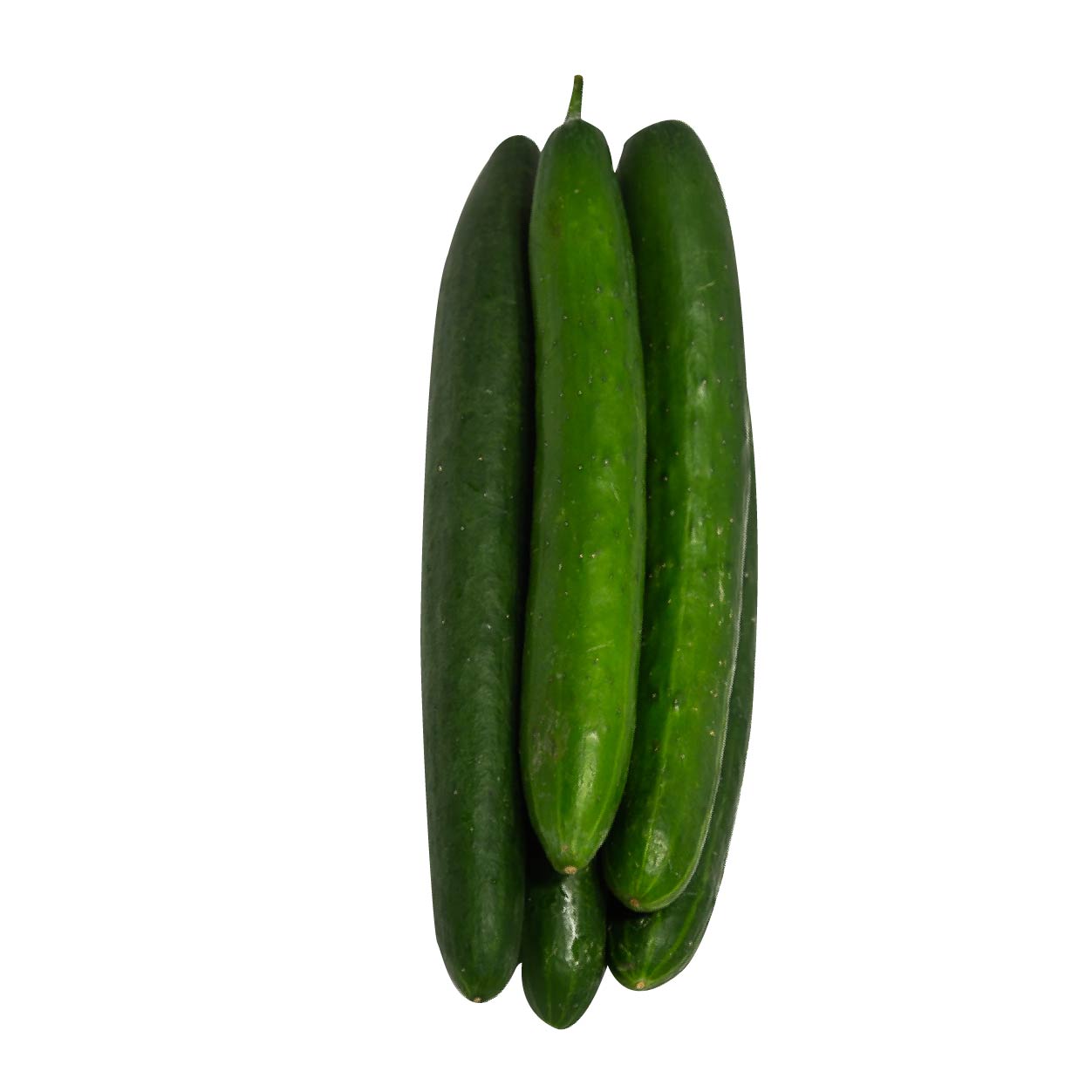 Yesha Japanese Cucumber 500g