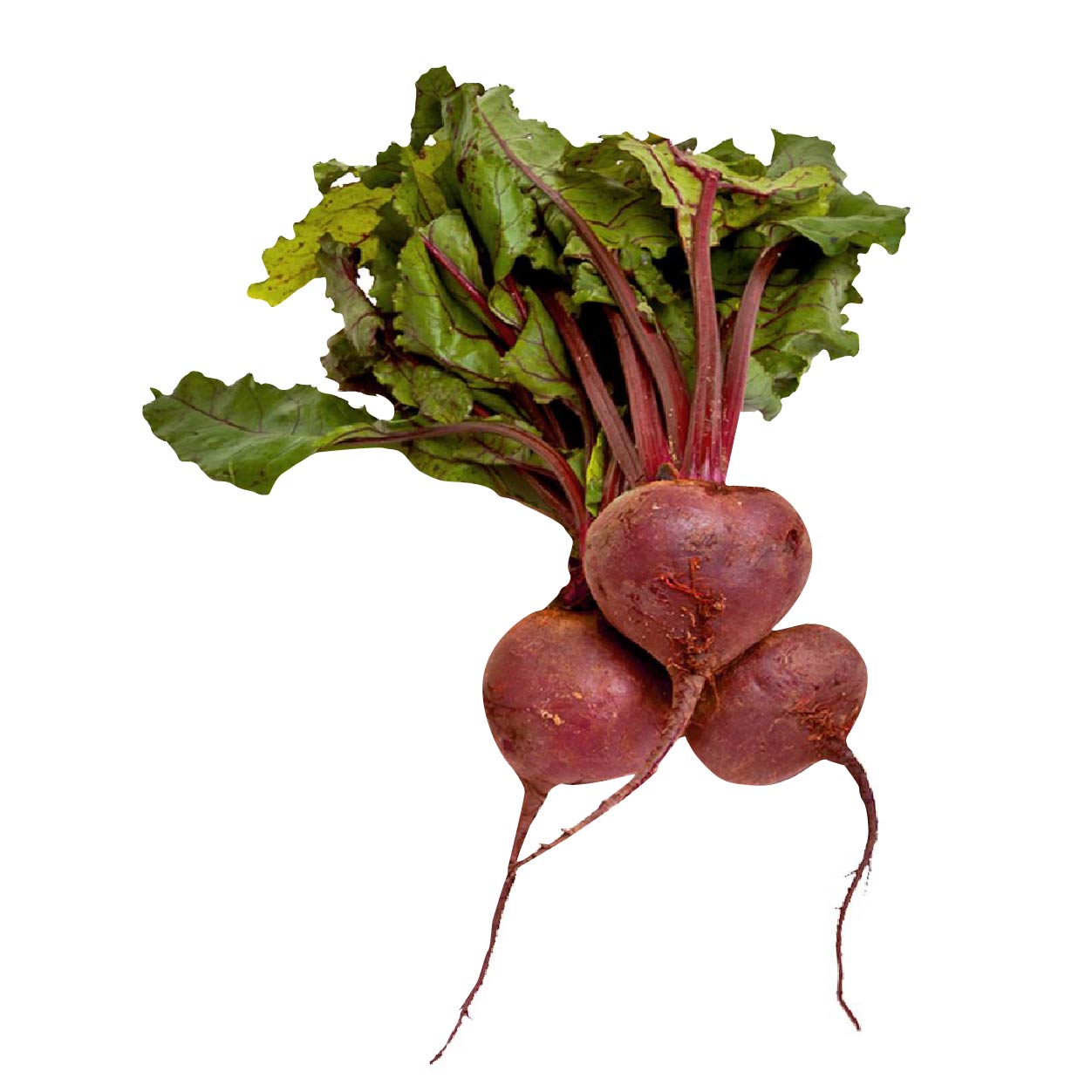 Yesha Sugar Beets 250g