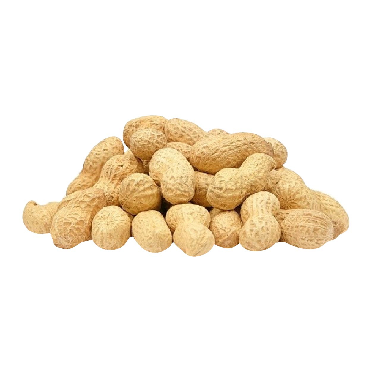 Dizon Peanut Fresh 500g