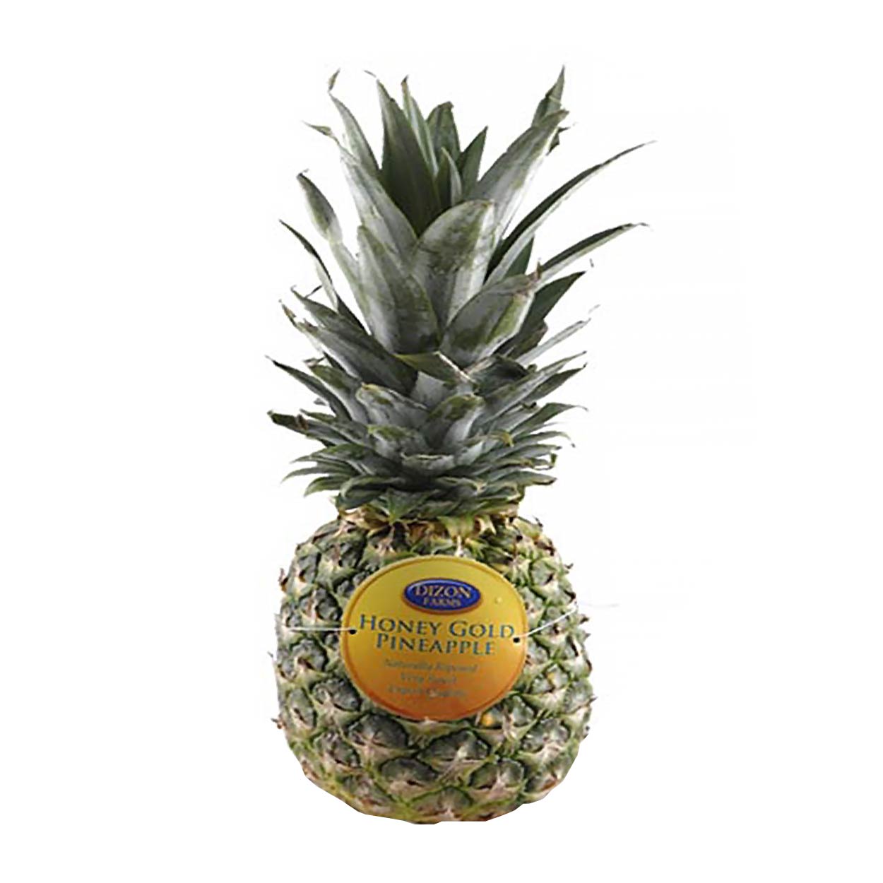 Dizon Honey Gold Pineapple Big 1pc