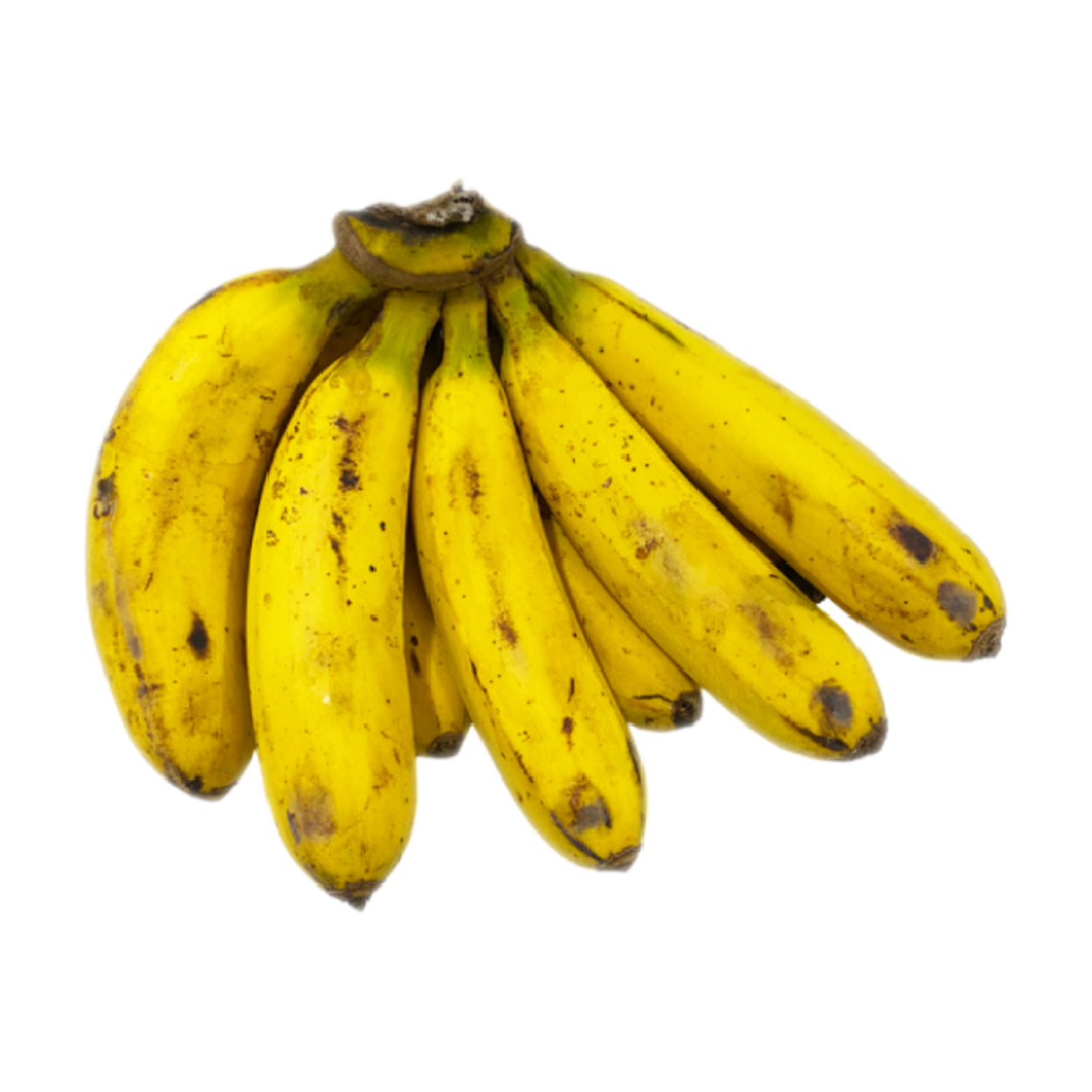 Sydarb Banana Lacatan Class B 500g