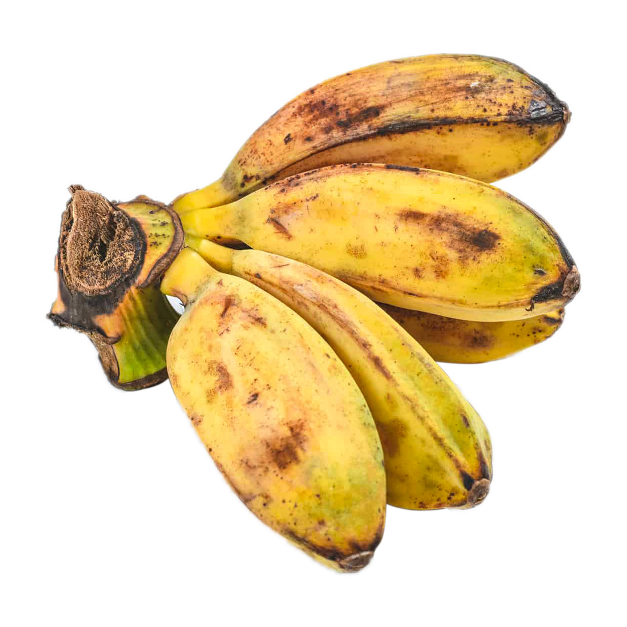 Sydarb Banana Saba Class B 500g