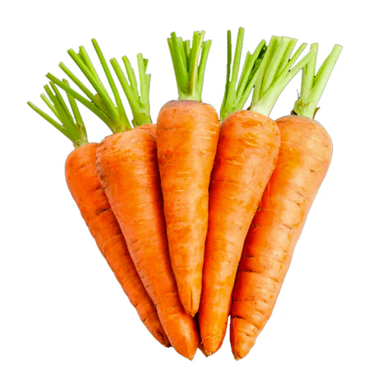 Yesha Organic Carrots 250g