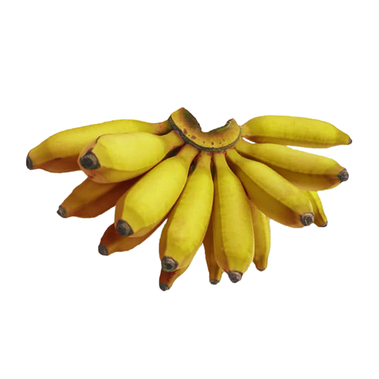 Dizon Banana Senorita 500g