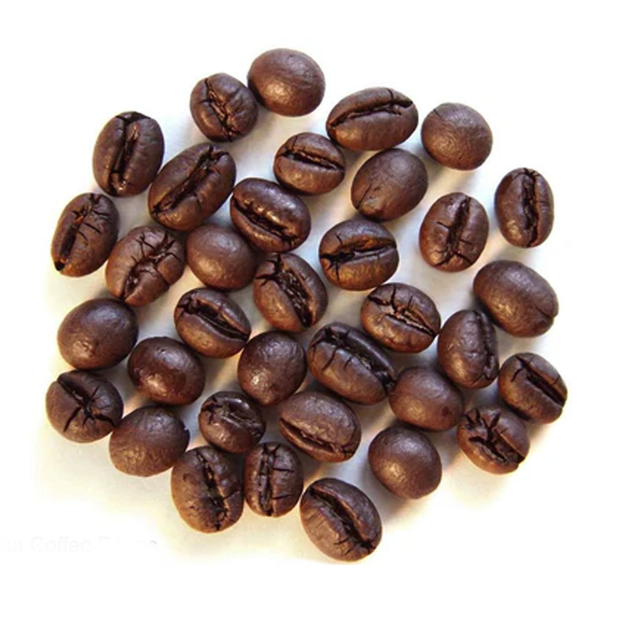 Fresh Pick Excelsa Coffee Beans 250g