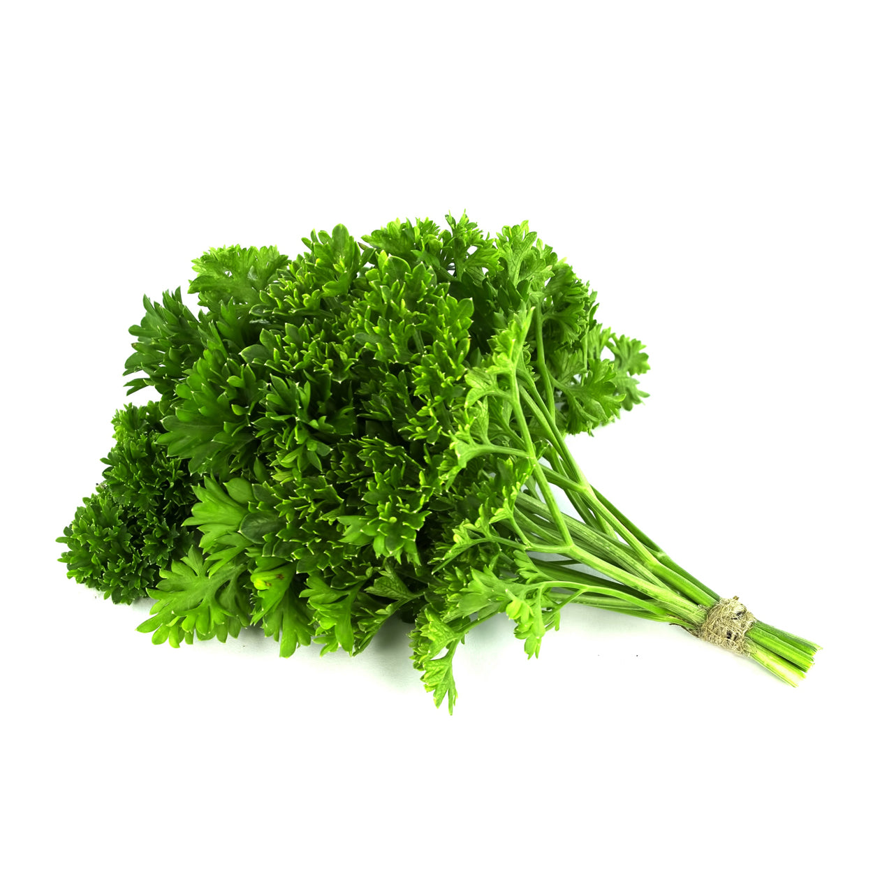 Sydarb Parsley 100g