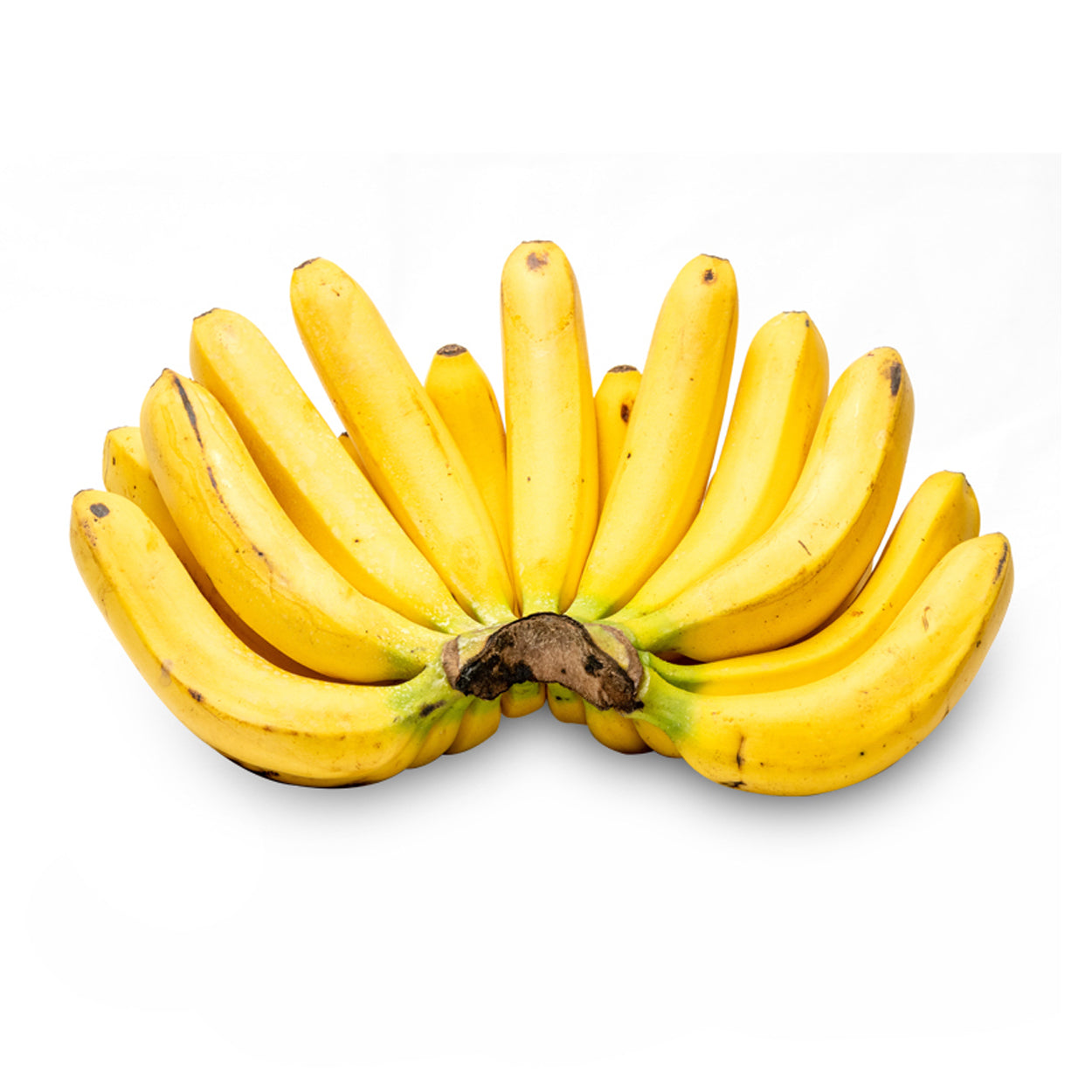 Dizon Banana Lacatan Premium 500g