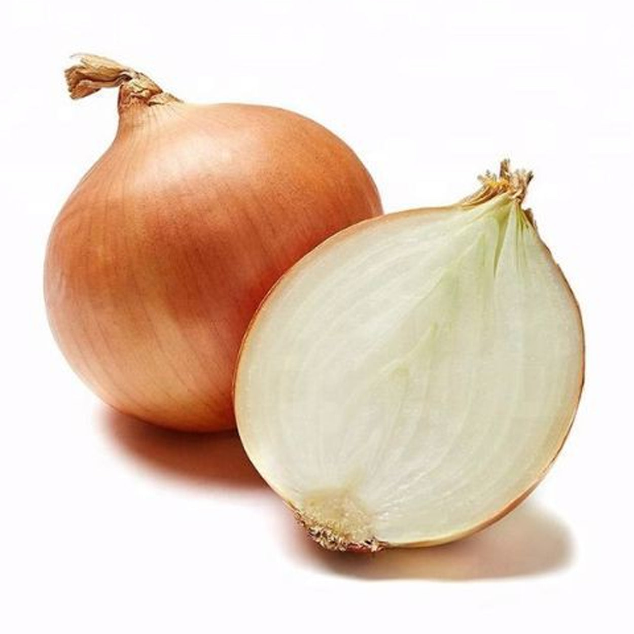 Global Fresh Onion White Imported 250g