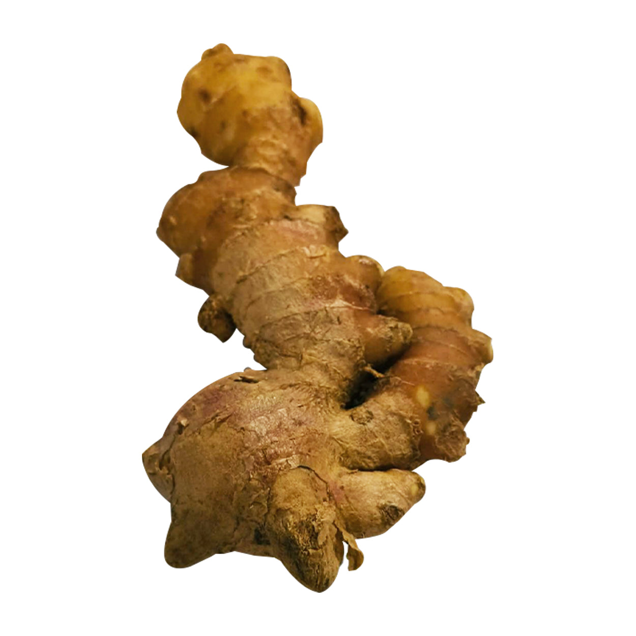 Ennius Ginger 250g