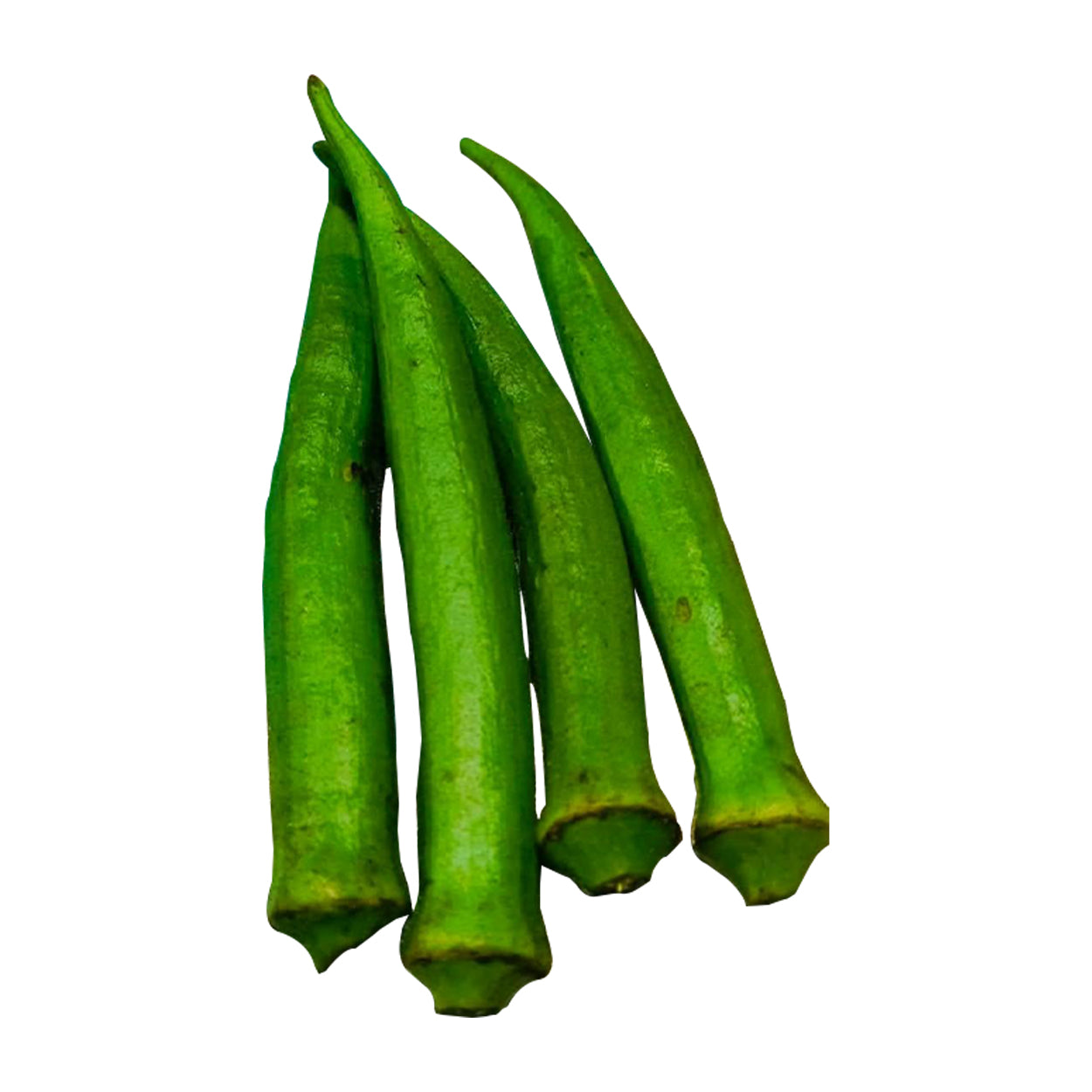 Ennius Okra Big 250g