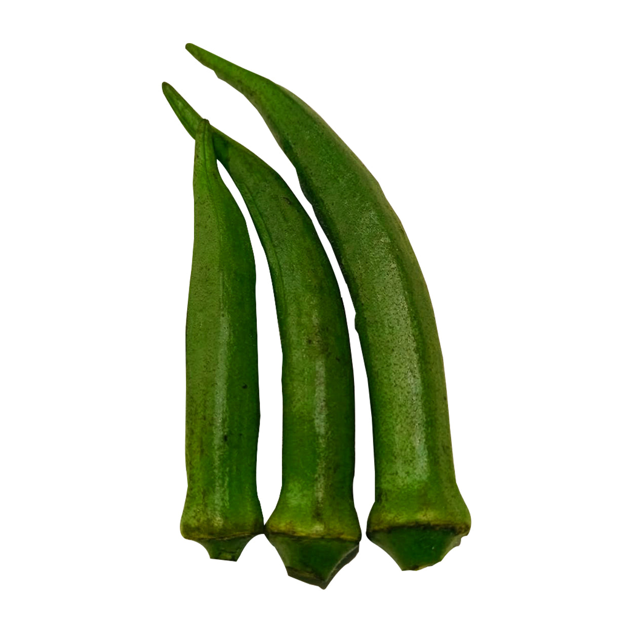 Ennius Okra Small 250g