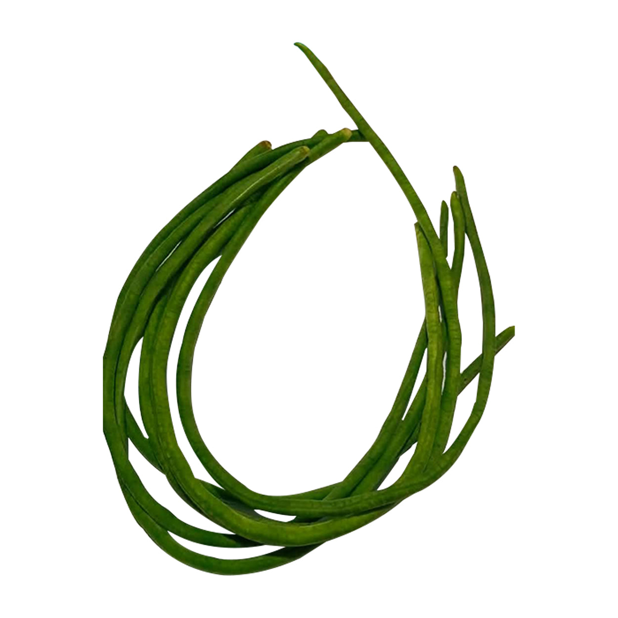 Ennius Sitaw 250g