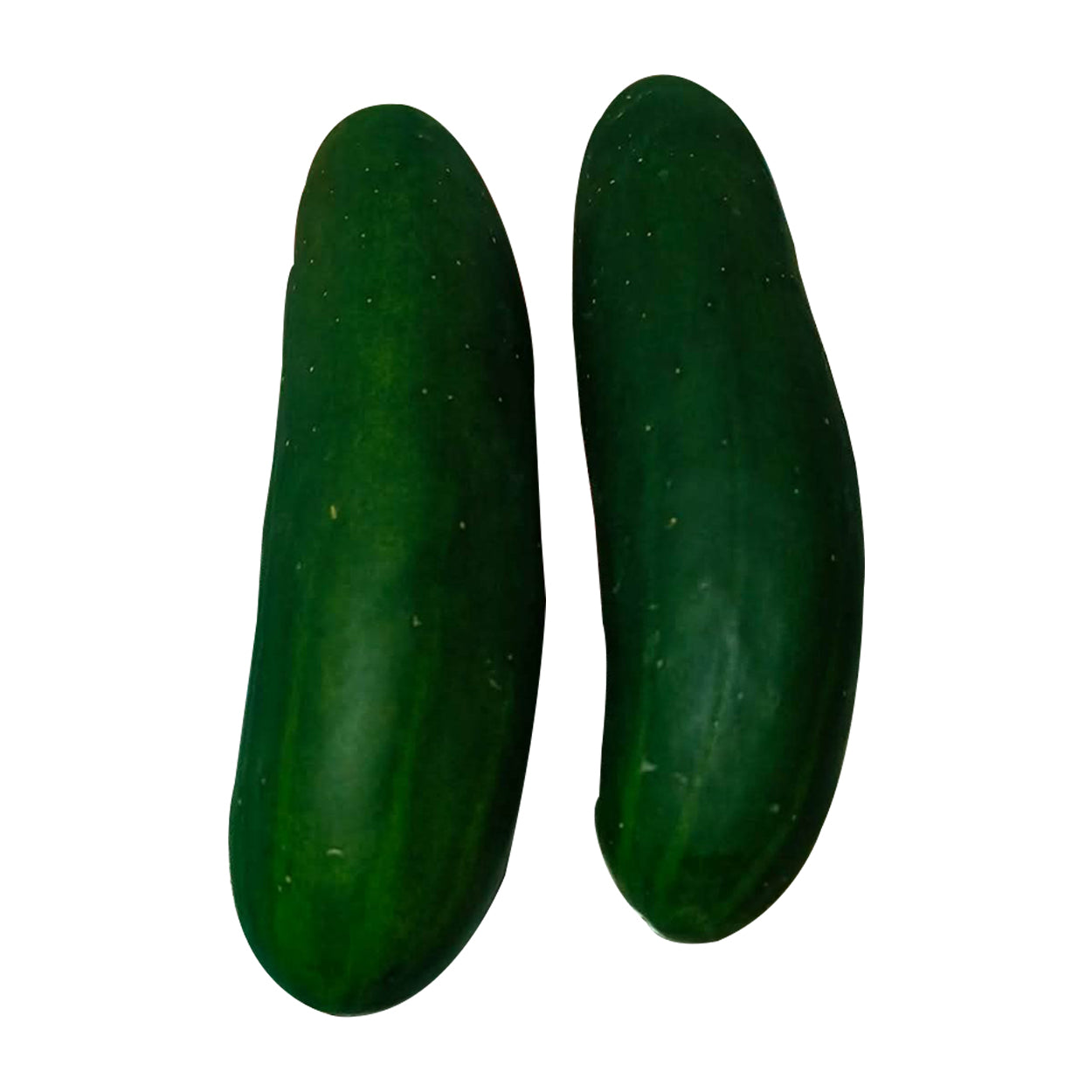Ennius Cucumber 250g