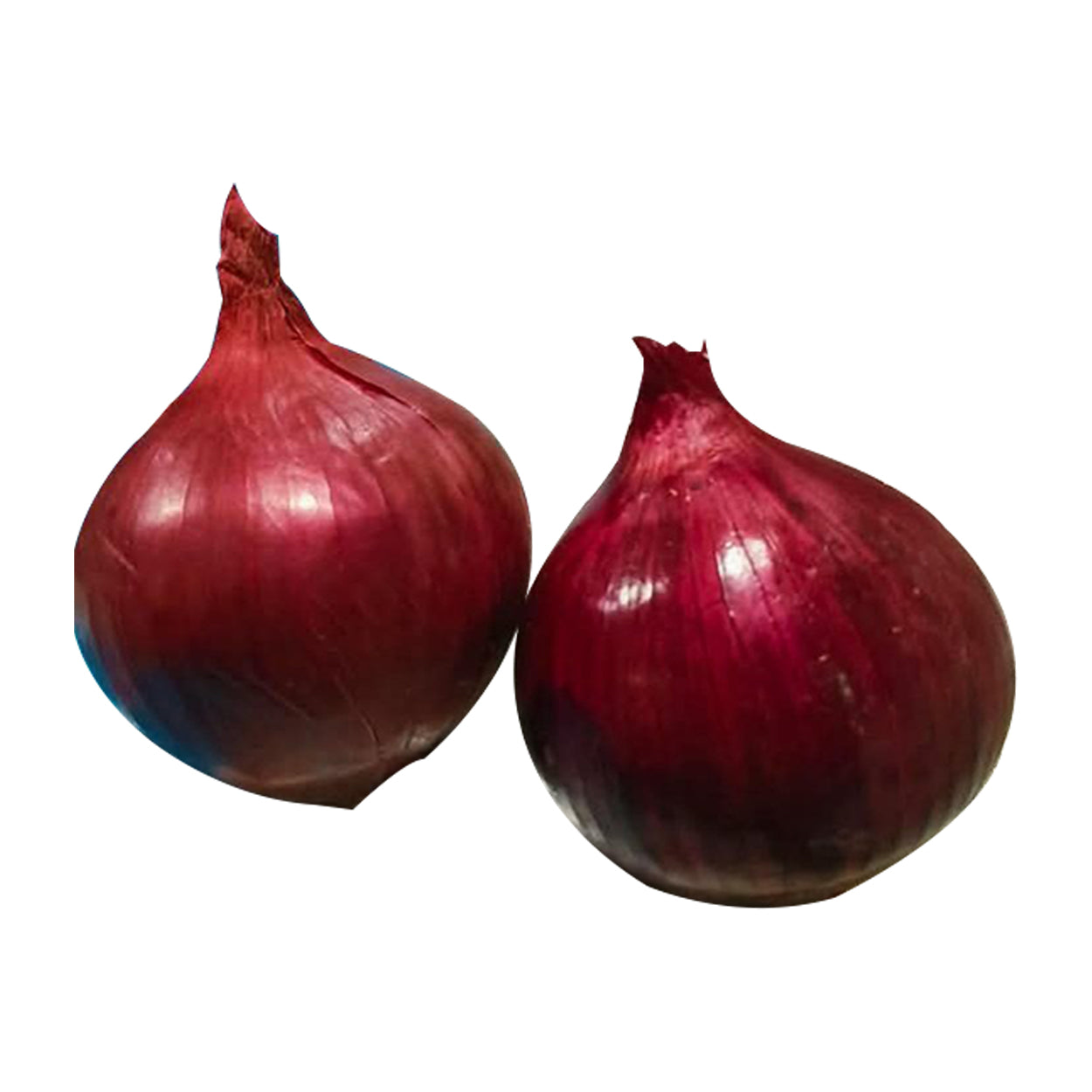 Ennius Red Onion 250g