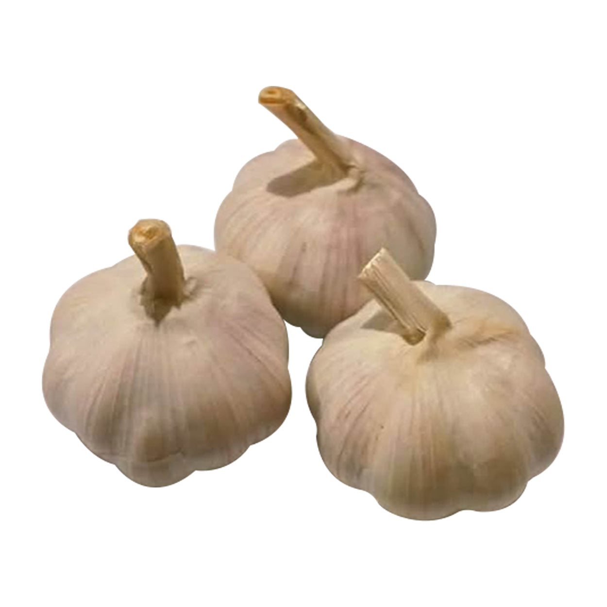 Ennius Whole Garlic 250g